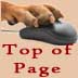 To Top of Page